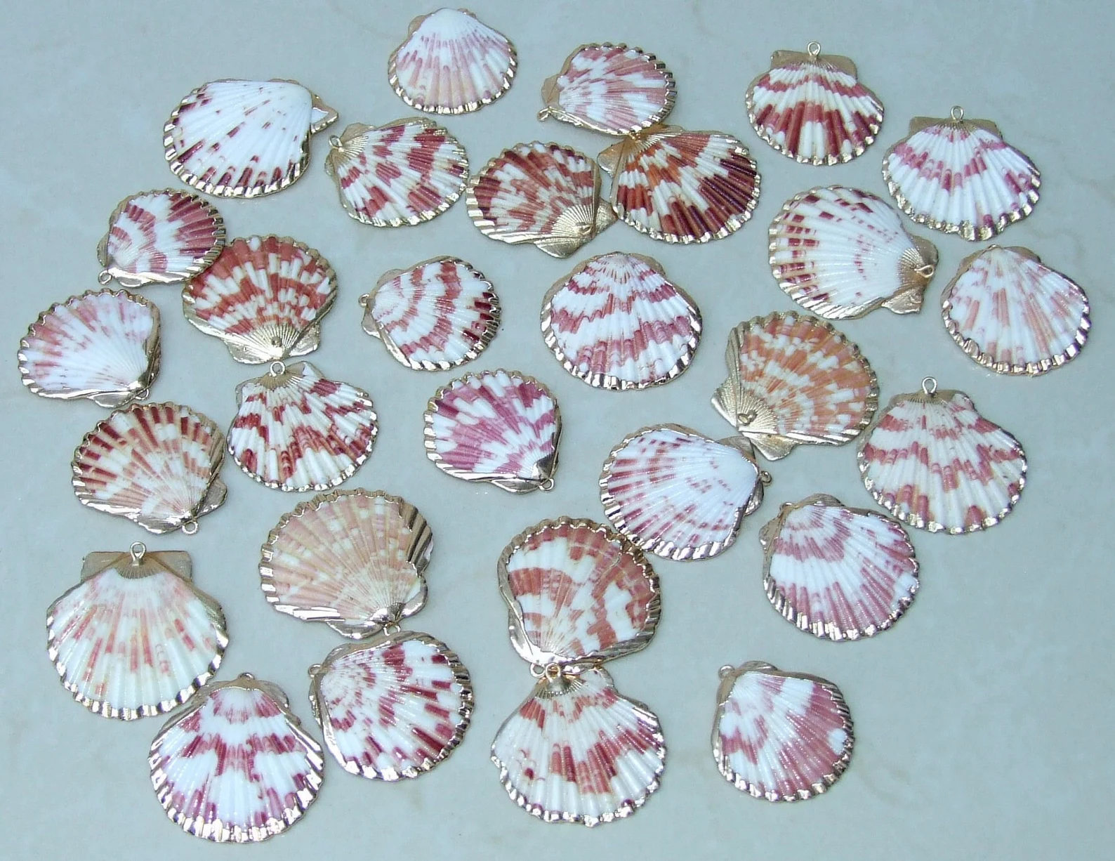Decorative Scallop Sea Shells for Craft Jewelry Making (Pack of 200 grm)